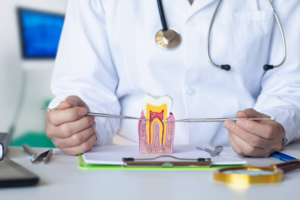 Best Emergency Denture Repair in Oquawka, IL